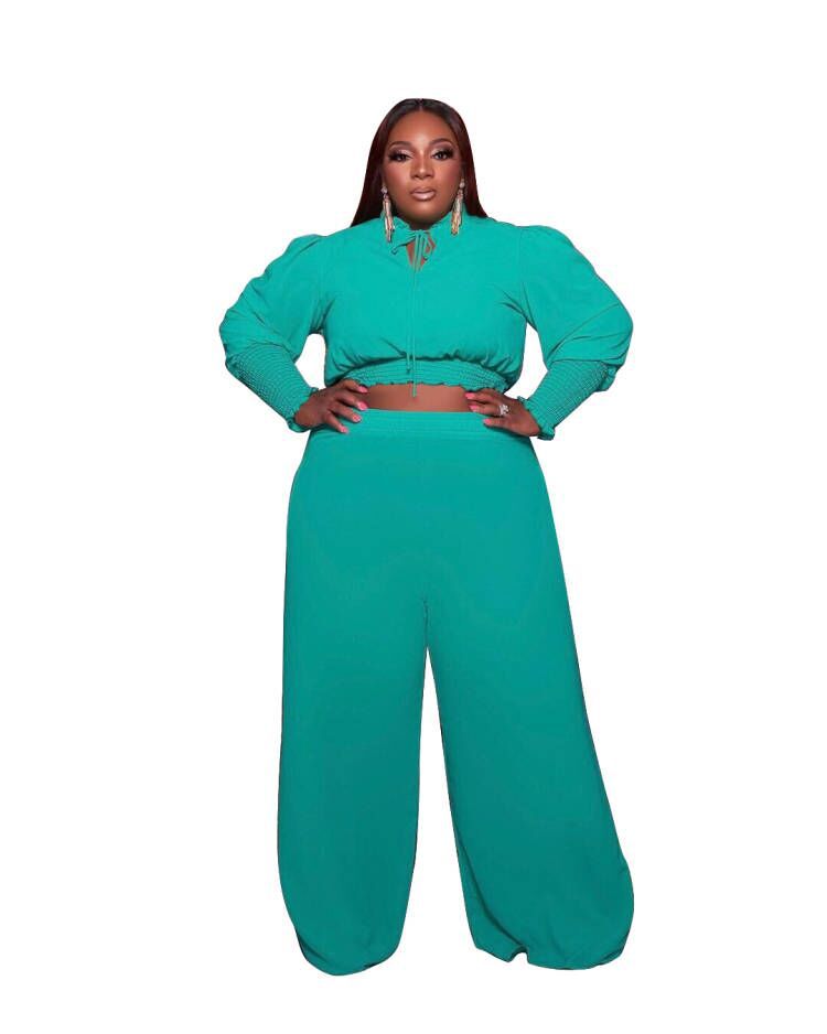 Women Plus Size Casual Solid Color Long Sleeve Crop Blouse Wide Leg Pants Two-Piece Set