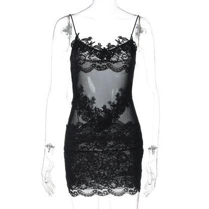Whitleigh Lace Mesh Mini Dress