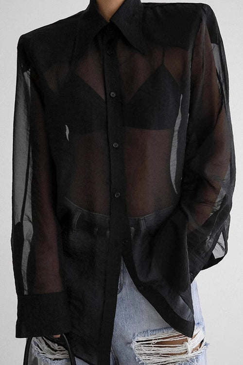 Elegant Sheer Long Sleeve Blouse