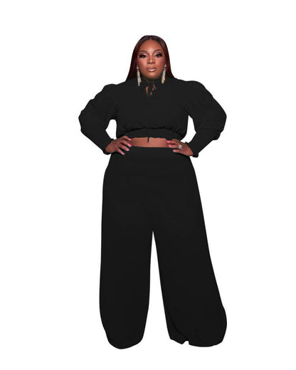 Women Plus Size Casual Solid Color Long Sleeve Crop Blouse Wide Leg Pants Two-Piece Set