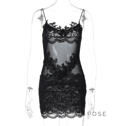 Whitleigh Lace Mesh Mini Dress