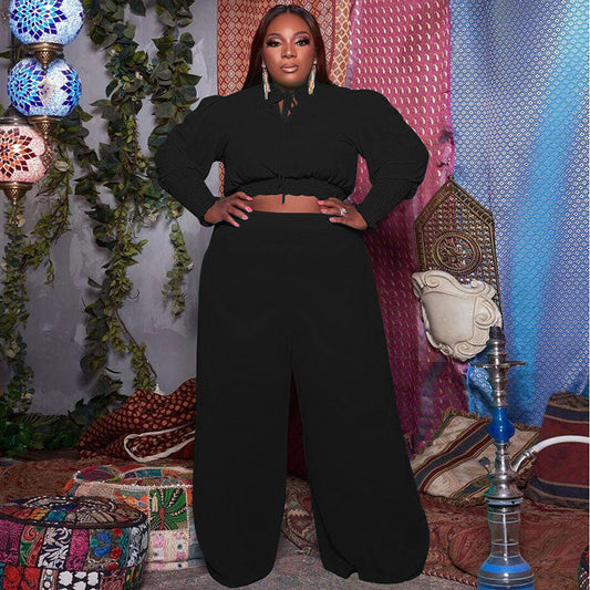 Women Plus Size Casual Solid Color Long Sleeve Crop Blouse Wide Leg Pants Two-Piece Set
